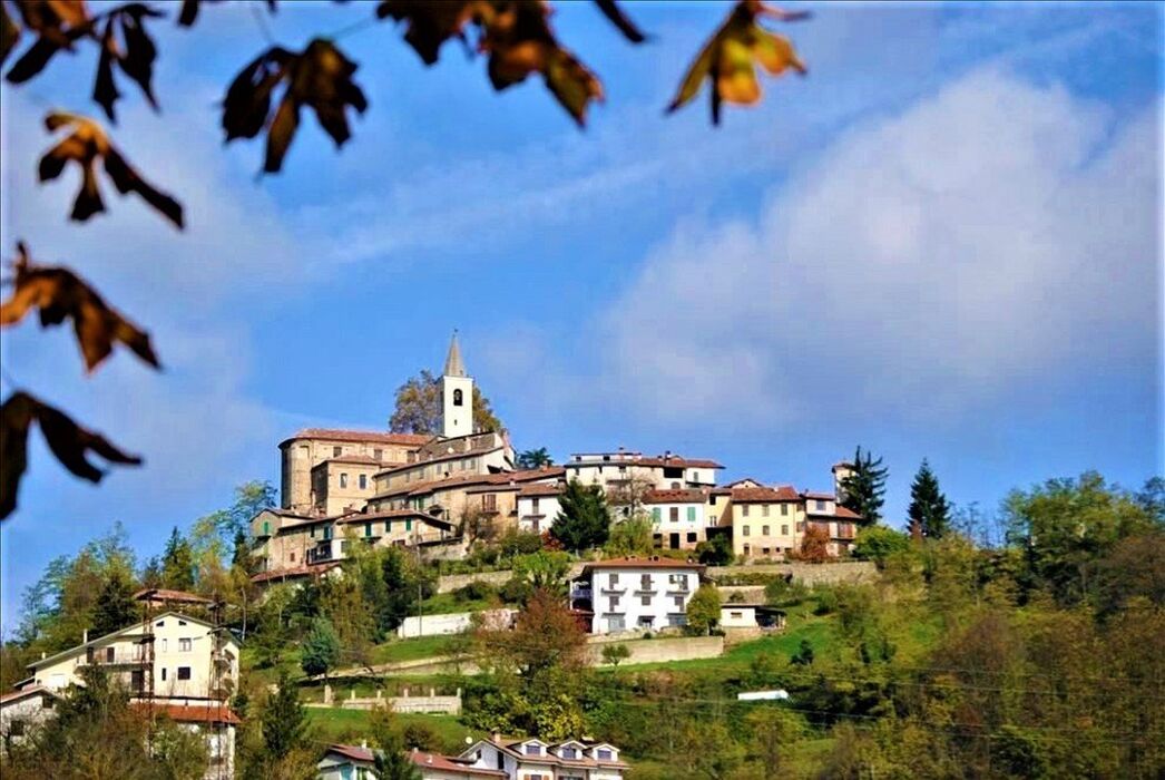 In un Mare di Lavanda: Escursione nella "Provenza Piemontese" In un Mare di Lavanda: Escursione nella "Provenza Piemontese" desktop picture