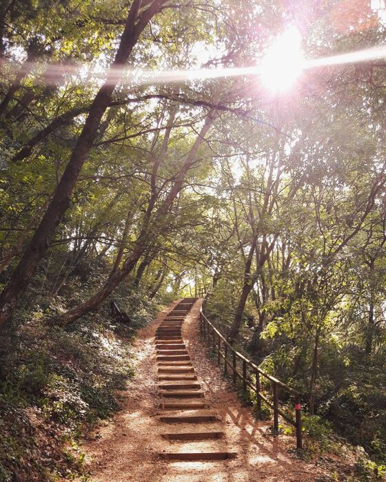 Garda: Itinerario tra il Borgo, la Rocca e l'Eremo di San Giorgio Garda: Itinerario tra il Borgo, la Rocca e l'Eremo di San Giorgio desktop picture