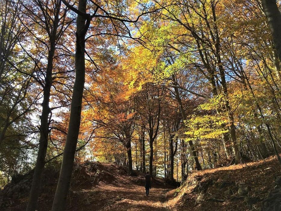 Il Sentiero Girardi: Escursione nelle Colline Veronesi Il Sentiero Girardi: Escursione nelle Colline Veronesi desktop picture