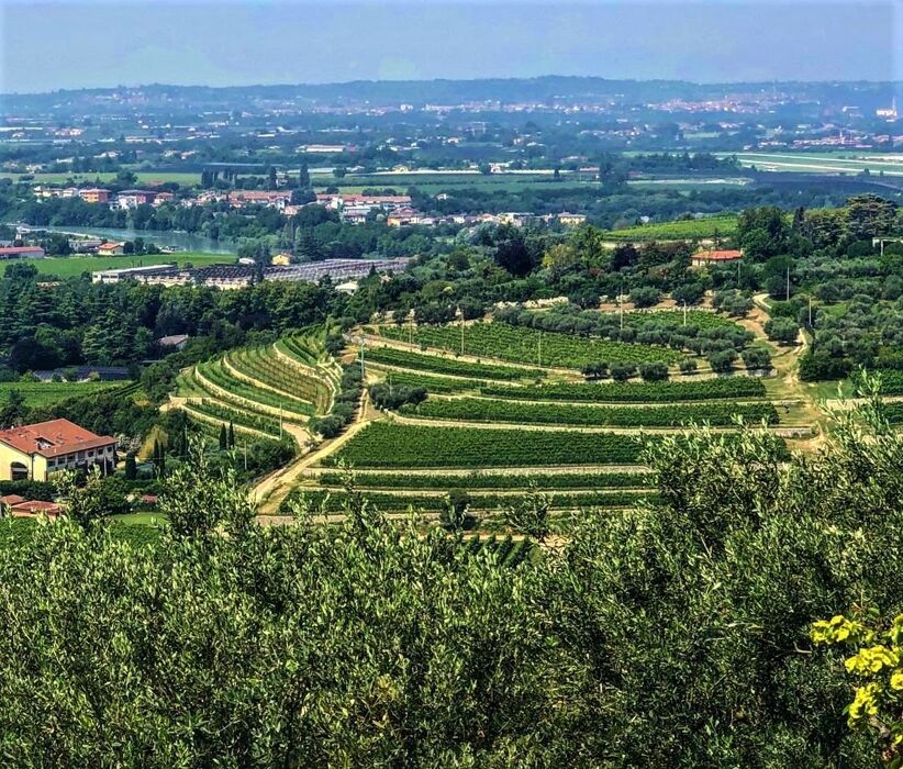 Il Sentiero Girardi: Escursione nelle Colline Veronesi Il Sentiero Girardi: Escursione nelle Colline Veronesi desktop picture