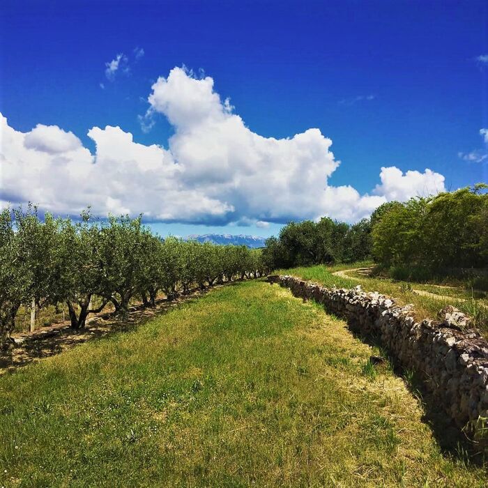 Il Sentiero Girardi: Escursione nelle Colline Veronesi Il Sentiero Girardi: Escursione nelle Colline Veronesi desktop picture