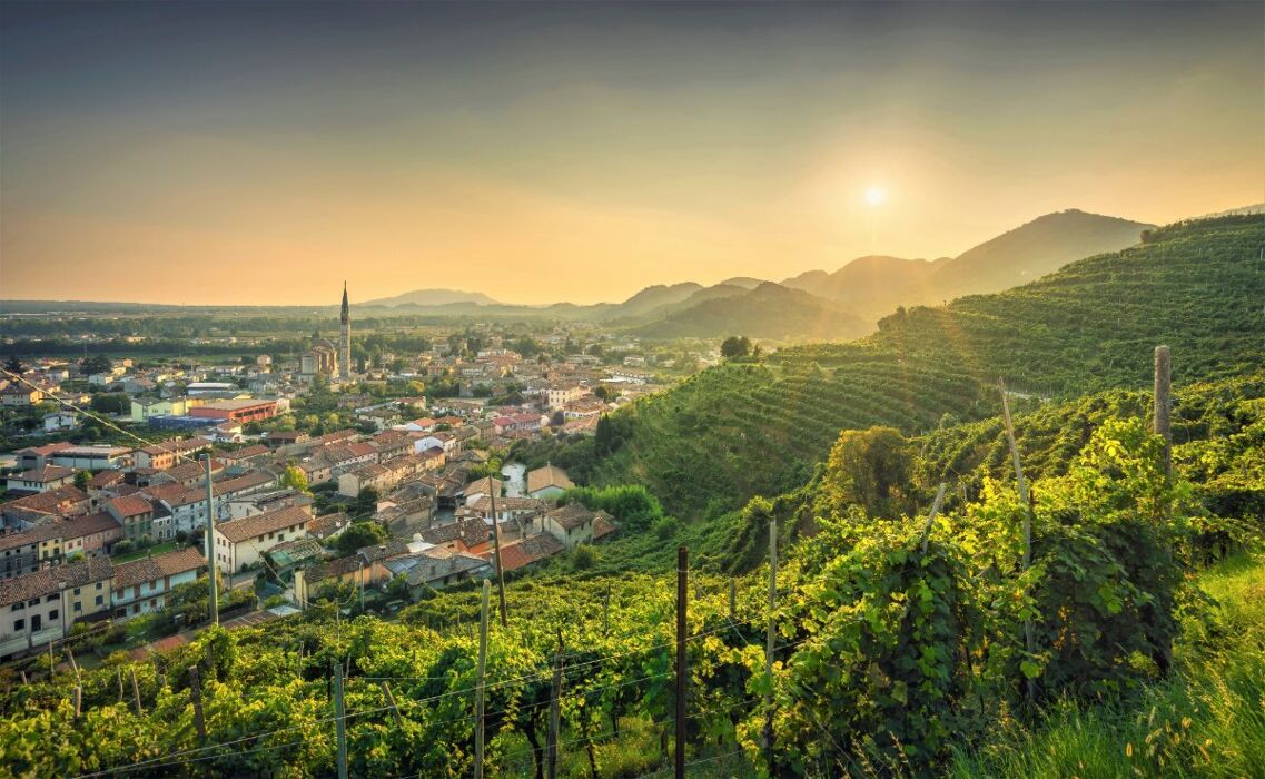 Passeggiata con Degustazione a Farra di Soligo: tra natura e sapori Passeggiata con Degustazione a Farra di Soligo: tra natura e sapori desktop picture