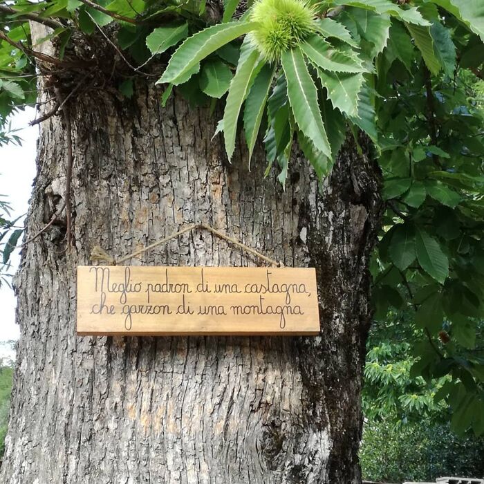 Lagacci: Passeggiata nel Paese dei Proverbi Lagacci: Passeggiata nel Paese dei Proverbi desktop picture