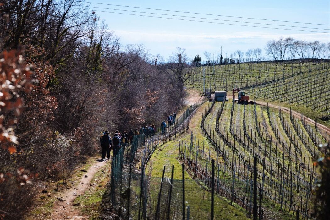 Il Sentiero Girardi: Escursione nelle colline veronesi e cotechino con pearà Il Sentiero Girardi: Escursione nelle colline veronesi e cotechino con pearà desktop picture