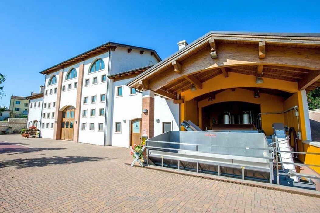 Cantina Tessari: Degustazione del Vino Veronese tra Tradizioni e Sapori (MATTINO) Cantina Tessari: Degustazione del Vino Veronese tra Tradizioni e Sapori (MATTINO) desktop picture