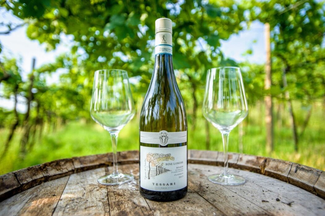 Cantina Tessari: Degustazione del Vino Veronese tra Tradizioni e Sapori (MATTINO) Cantina Tessari: Degustazione del Vino Veronese tra Tradizioni e Sapori (MATTINO) desktop picture