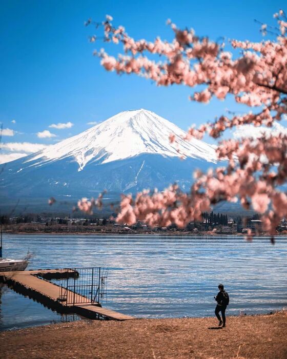 Giappone: la Cultura del Sol Levante oltre i Manga (Online) Giappone: la Cultura del Sol Levante oltre i Manga (Online) desktop picture