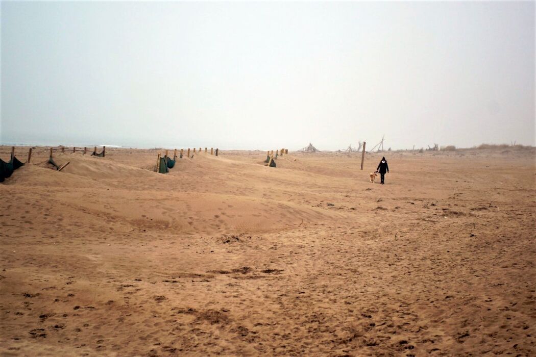 Passeggiata nel Giardino di Porto Caleri: La Magia del Delta del Po Passeggiata nel Giardino di Porto Caleri: La Magia del Delta del Po desktop picture
