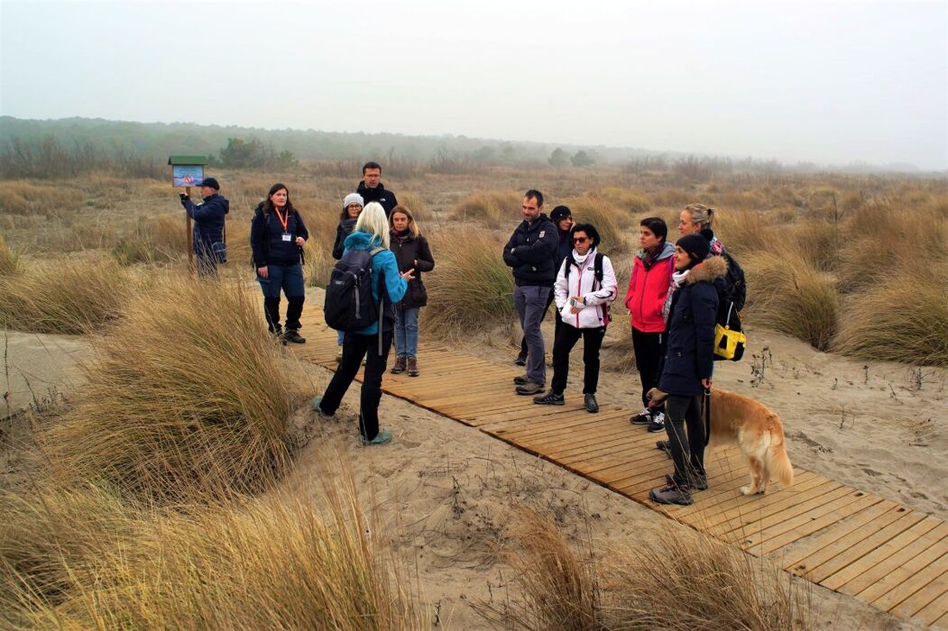 Passeggiata nel Giardino di Porto Caleri: La Magia del Delta del Po Passeggiata nel Giardino di Porto Caleri: La Magia del Delta del Po desktop picture