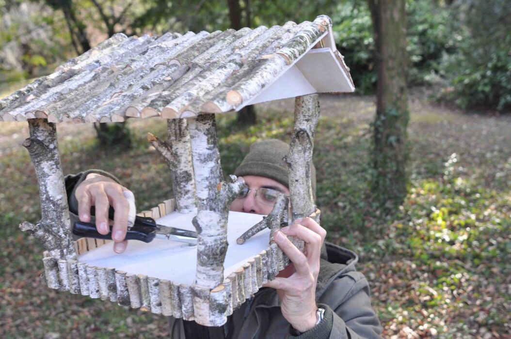 Birdgarden: come attirare gli uccelli nel nostro giardino (Online) Birdgarden: come attirare gli uccelli nel nostro giardino (Online) desktop picture