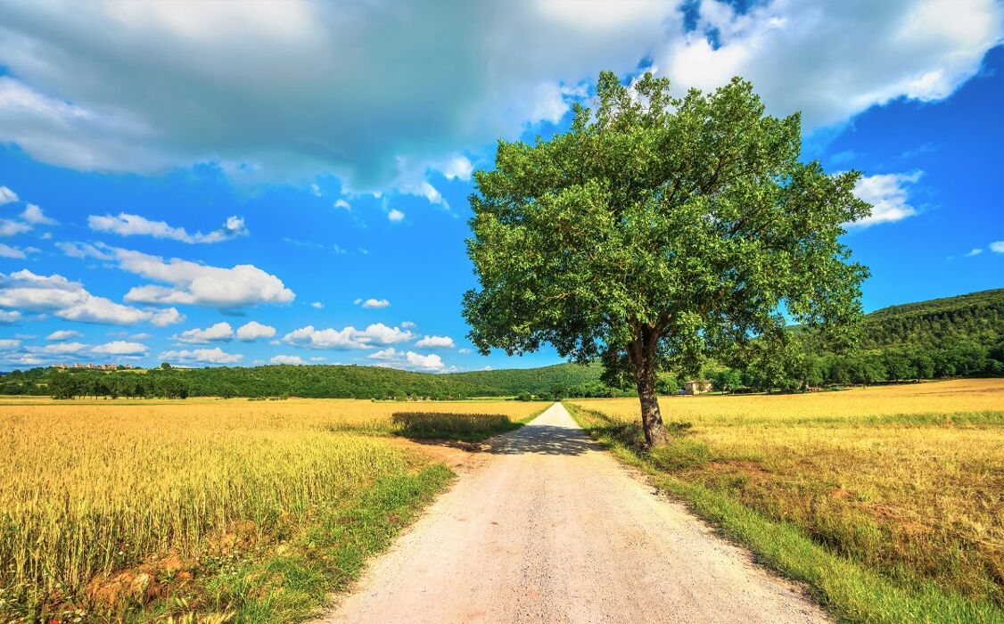 Itinerario nella Storia: il Borgo Medievale di Monteriggioni Itinerario nella Storia: il Borgo Medievale di Monteriggioni desktop picture