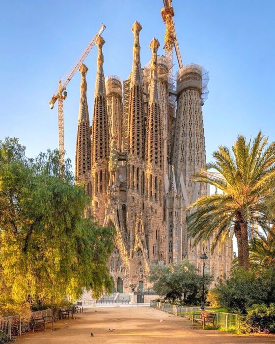 Alla Scoperta di Barcellona come un Local (Online) Alla Scoperta di Barcellona come un Local (Online) desktop picture