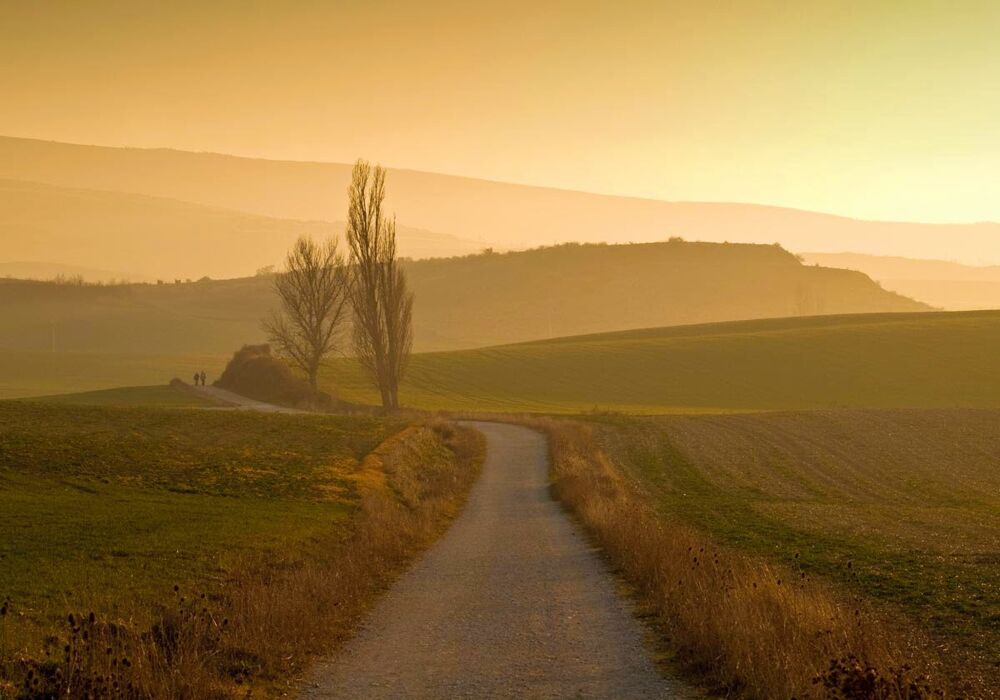 Preparazione al Cammino di Santiago (Online) Preparazione al Cammino di Santiago (Online) desktop picture