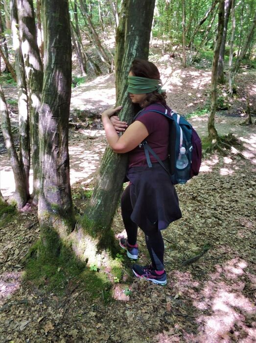 Passeggiata sensoriale nell'incantevole Parco del Curone Passeggiata sensoriale nell'incantevole Parco del Curone desktop picture