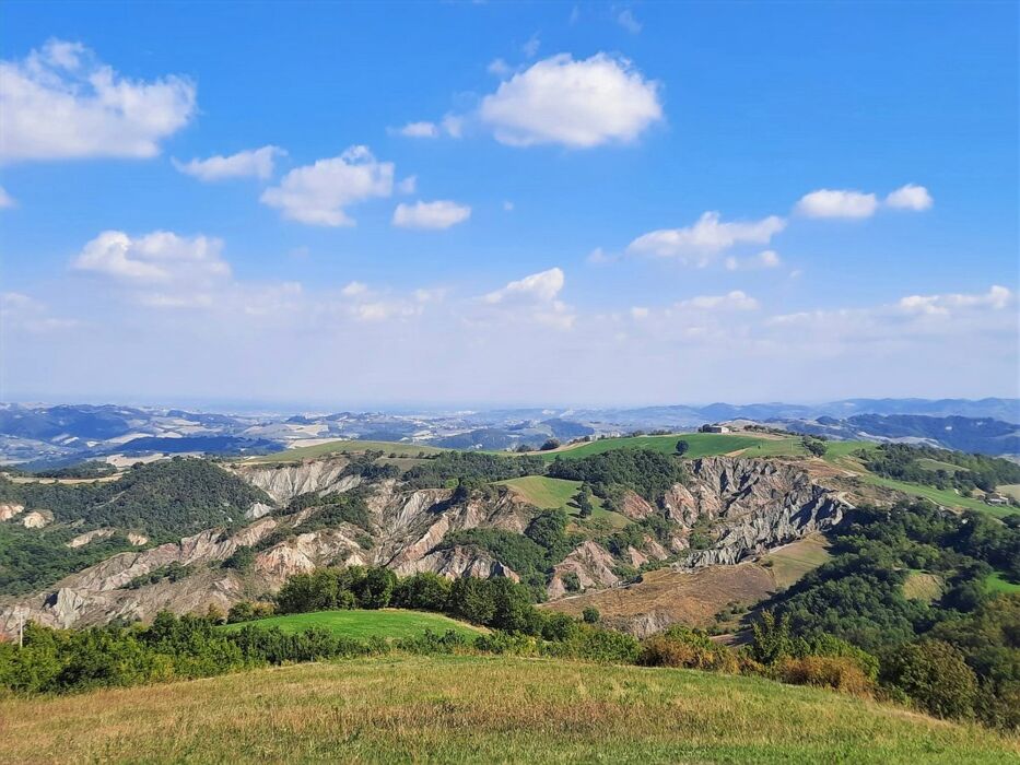 La Big Bench Arancione: Trekking tra Panorami Mozzafiato La Big Bench Arancione: Trekking tra Panorami Mozzafiato desktop picture