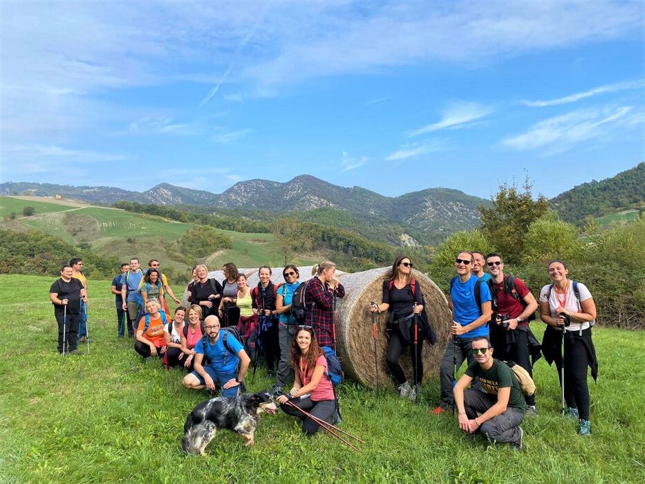La Big Bench Arancione: Trekking tra Panorami Mozzafiato La Big Bench Arancione: Trekking tra Panorami Mozzafiato desktop picture