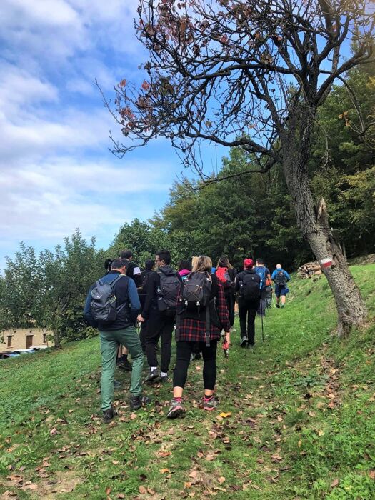 La Big Bench Arancione: Trekking tra Panorami Mozzafiato La Big Bench Arancione: Trekking tra Panorami Mozzafiato desktop picture