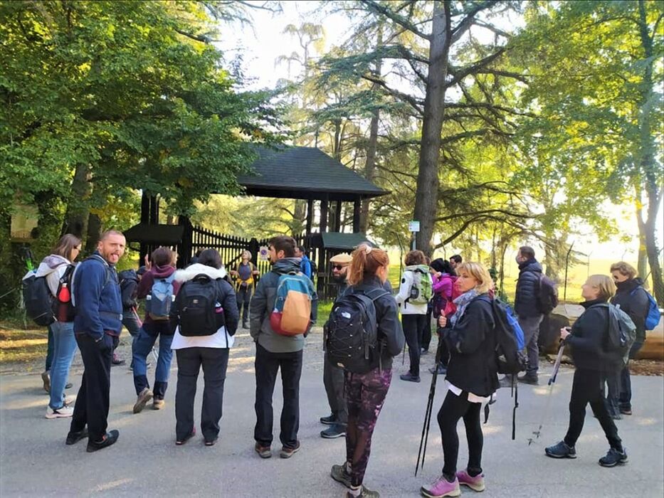 Novità - Passeggiata a Collecchio: il vestito invernale dei Boschi di Carrega Novità - Passeggiata a Collecchio: il vestito invernale dei Boschi di Carrega desktop picture