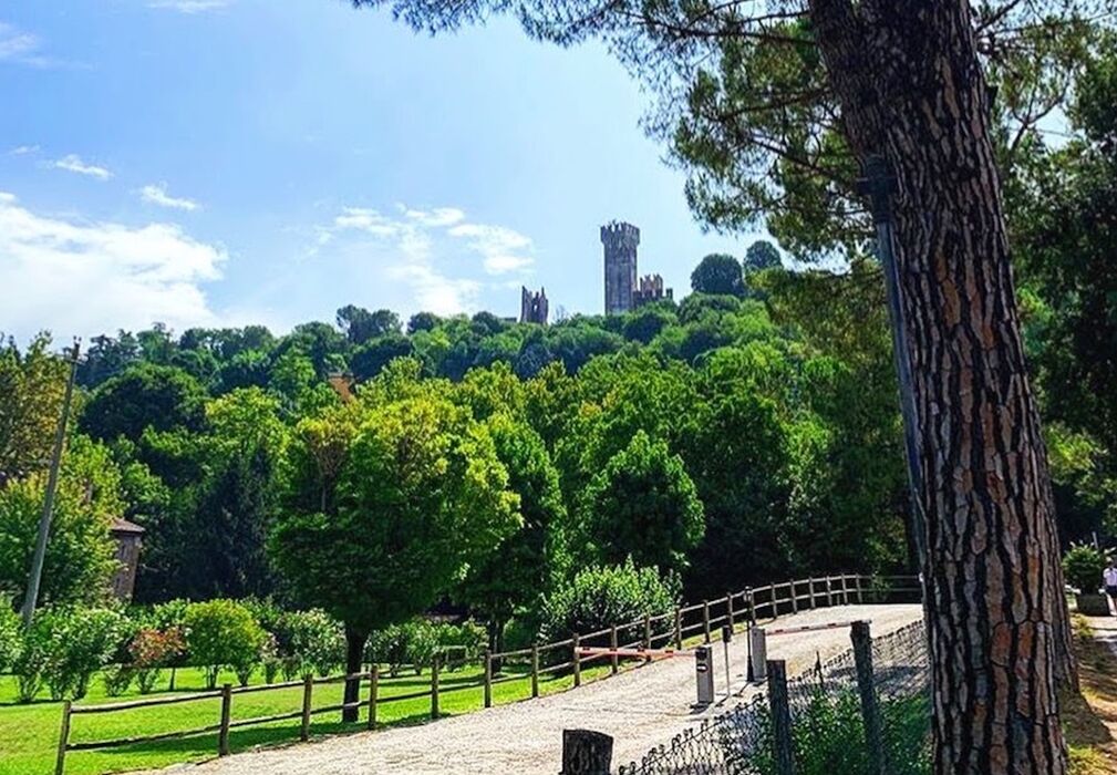 Alla Scoperta di Borghi e Castelli Medievali in Bici (Bike Inclusa) Alla Scoperta di Borghi e Castelli Medievali in Bici (Bike Inclusa) desktop picture