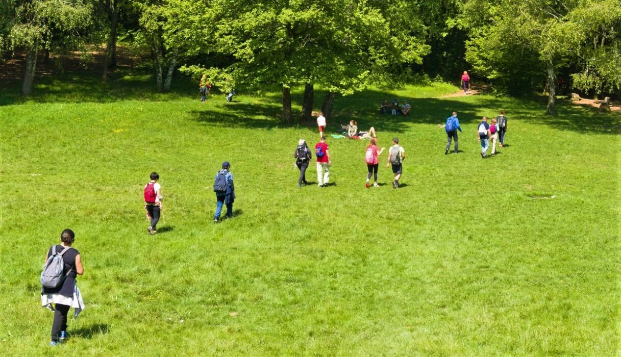 Tra Lecco e il Monte Barro: Passeggiata Sensoriale sul Lago di Como Tra Lecco e il Monte Barro: Passeggiata Sensoriale sul Lago di Como desktop picture