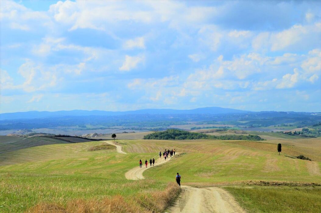 Una Dolce Camminata tra le Crete Senesi Una Dolce Camminata tra le Crete Senesi desktop picture