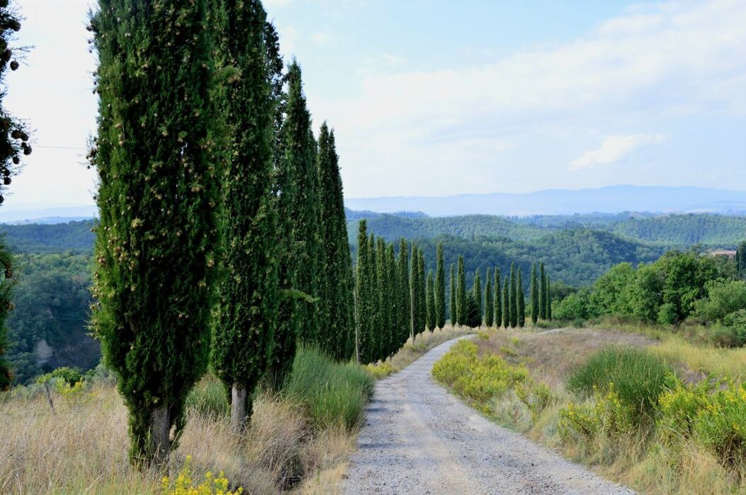Una Dolce Camminata tra le Crete Senesi Una Dolce Camminata tra le Crete Senesi desktop picture