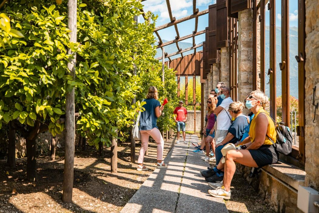 Visita a Limone sul Garda e alla storica Limonaia del Castèl Visita a Limone sul Garda e alla storica Limonaia del Castèl desktop picture