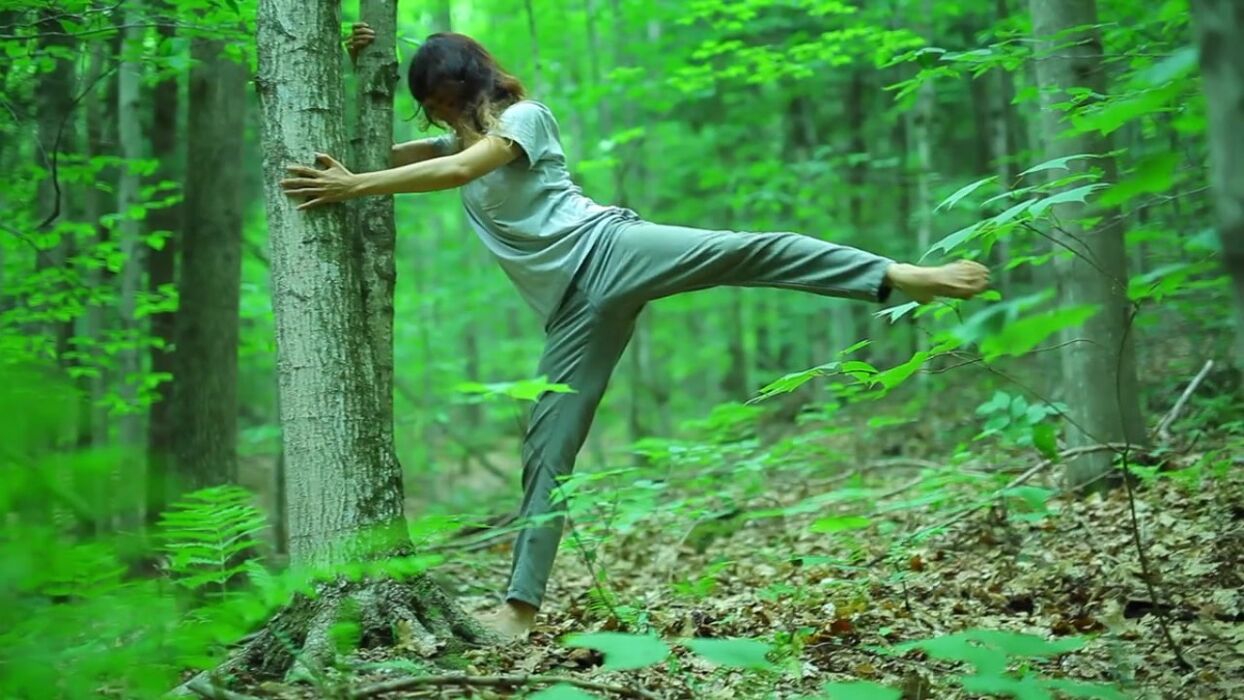 Shinrin-Yoku: Bagno di Bosco nel Parco dei Lagoni Shinrin-Yoku: Bagno di Bosco nel Parco dei Lagoni desktop picture