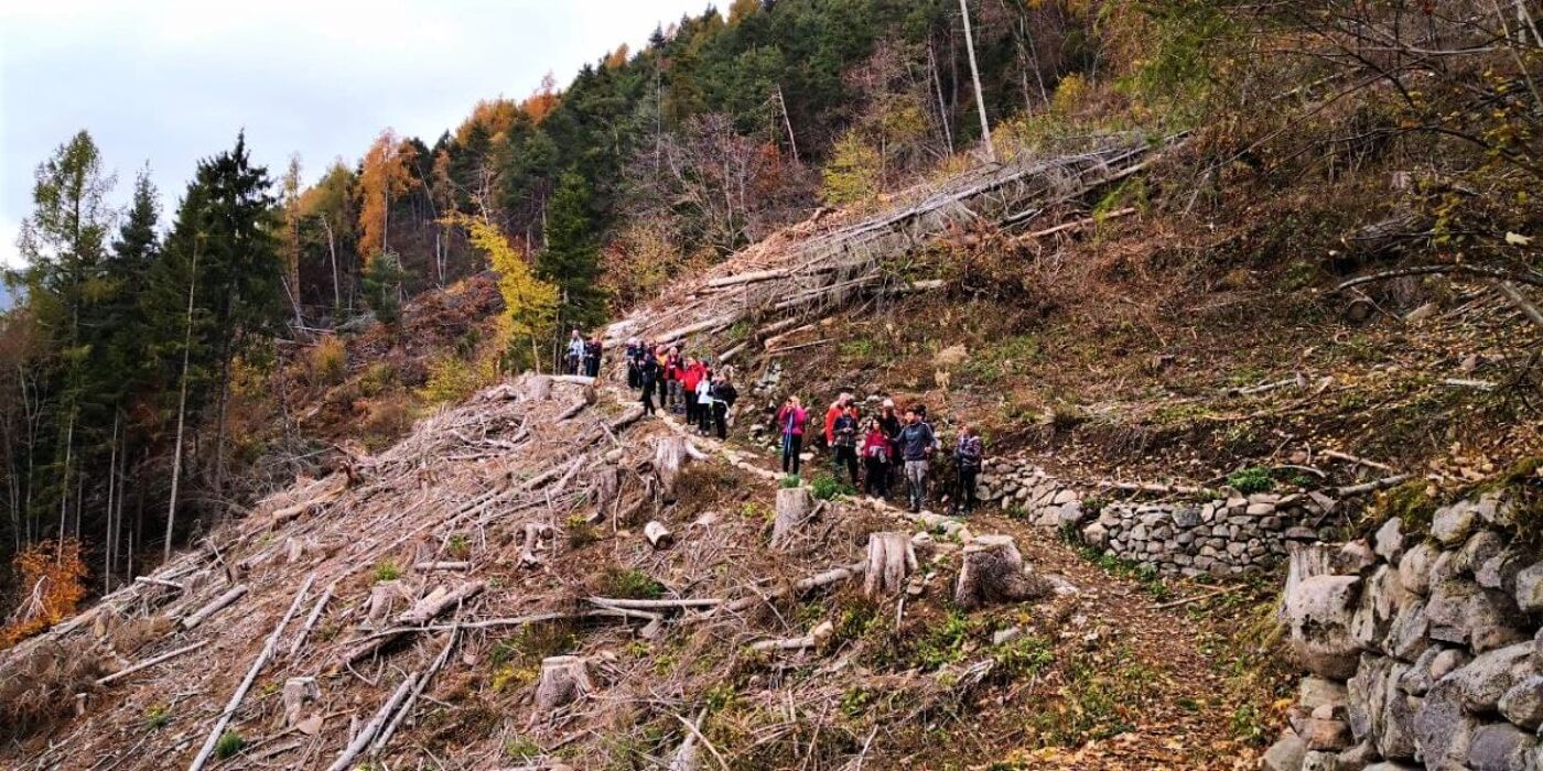 Escursione dalle Piramidi di Segonzano alla Cascata del Lupo Escursione dalle Piramidi di Segonzano alla Cascata del Lupo desktop picture