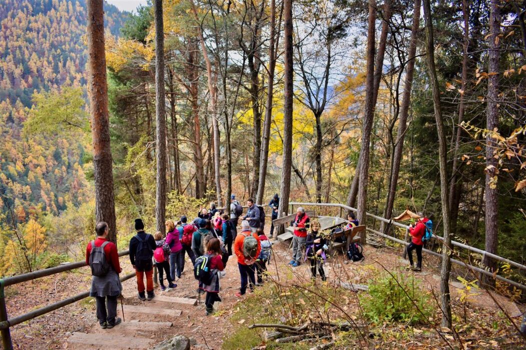 Escursione dalle Piramidi di Segonzano alla Cascata del Lupo Escursione dalle Piramidi di Segonzano alla Cascata del Lupo desktop picture