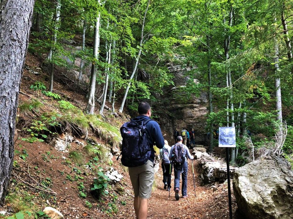 Escursione tra Storia e Natura: La Forra del Lupo Escursione tra Storia e Natura: La Forra del Lupo desktop picture
