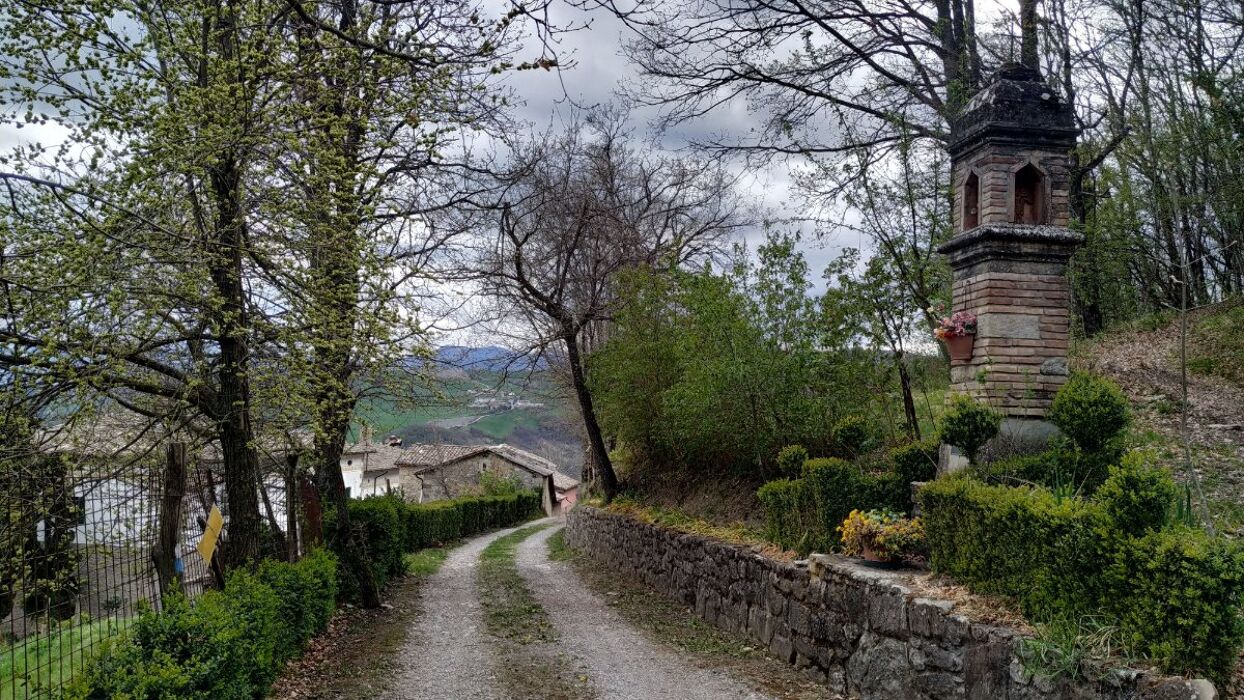 Escursione nella Riserva Naturale di Sassoguidano Escursione nella Riserva Naturale di Sassoguidano desktop picture