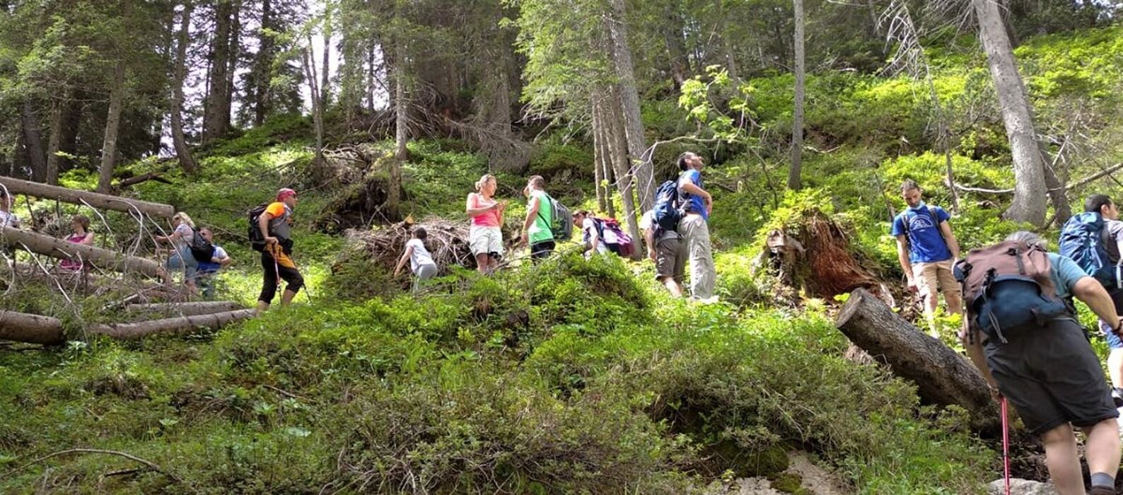 Escursione tra le Cascate della Val di Fanes Escursione tra le Cascate della Val di Fanes desktop picture