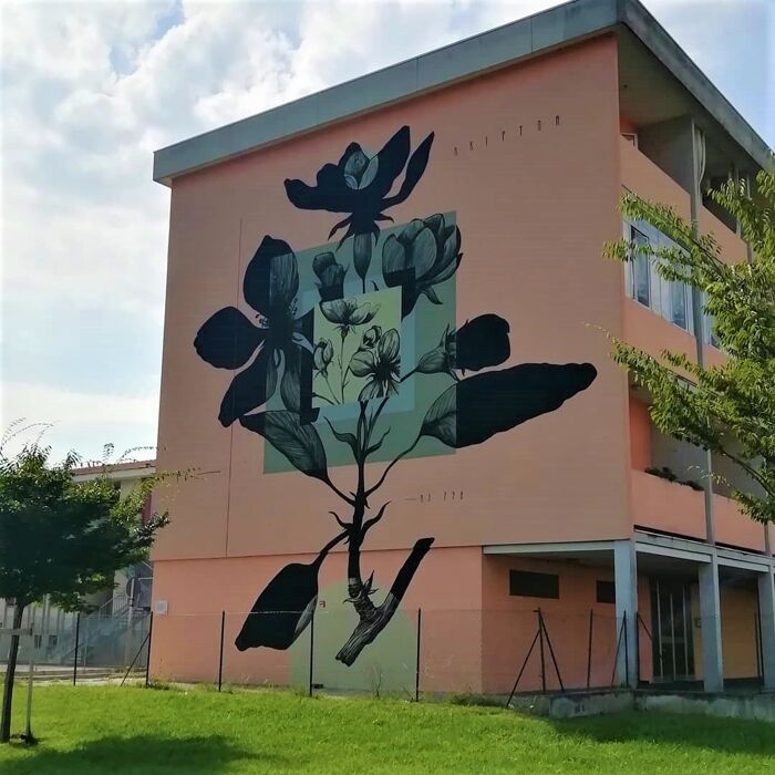 Lunetta e il "Festival Without Frontiers": Tour tra Capolavori di Street Art Lunetta e il "Festival Without Frontiers": Tour tra Capolavori di Street Art desktop picture