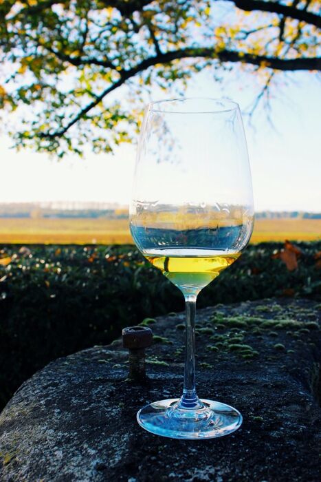 Passeggiata con Degustazione: i vigneti di Savorgnano del Torre Passeggiata con Degustazione: i vigneti di Savorgnano del Torre desktop picture