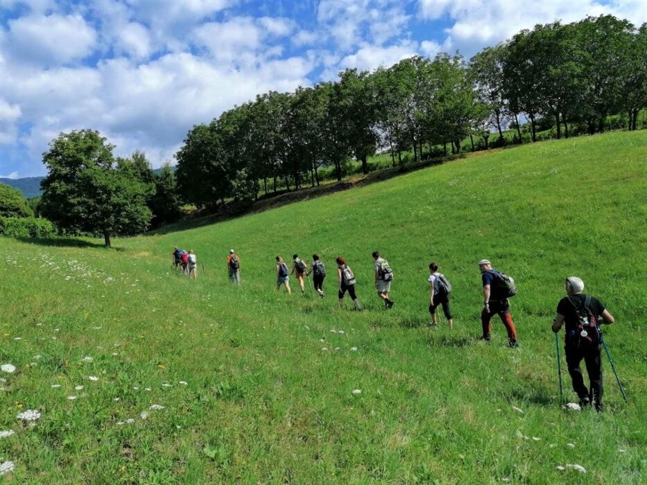 Dai Sentieri della Valle di Sotto al Pranzo in Villa Godi Malinverni Dai Sentieri della Valle di Sotto al Pranzo in Villa Godi Malinverni desktop picture