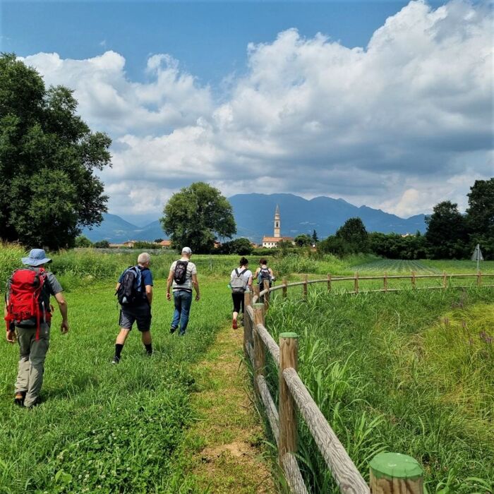 Una giornata nel mondo delle api a Schio Una giornata nel mondo delle api a Schio desktop picture