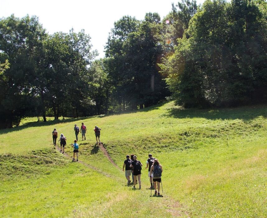 Lungo i Sentieri del Passo Zovo Lungo i Sentieri del Passo Zovo desktop picture