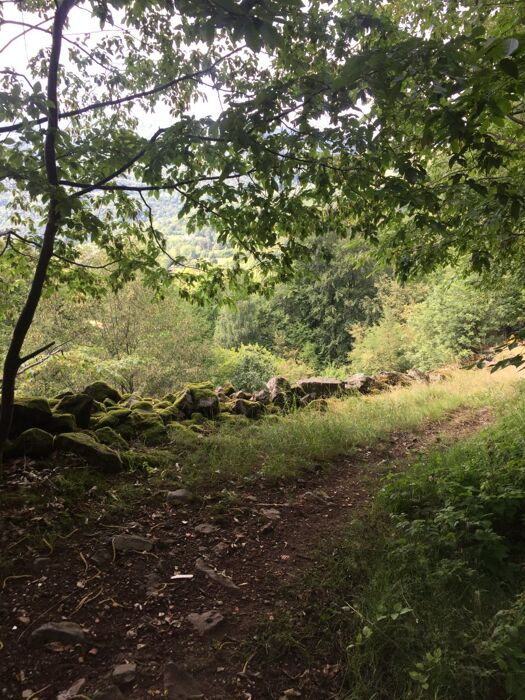 Lungo i Sentieri del Passo Zovo Lungo i Sentieri del Passo Zovo desktop picture