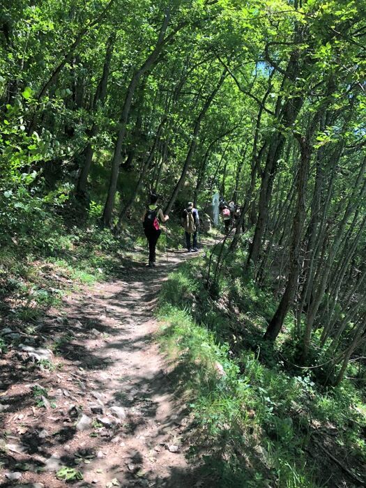 Trekking tra Storia e Natura: La Pietra di Bismantova Trekking tra Storia e Natura: La Pietra di Bismantova desktop picture
