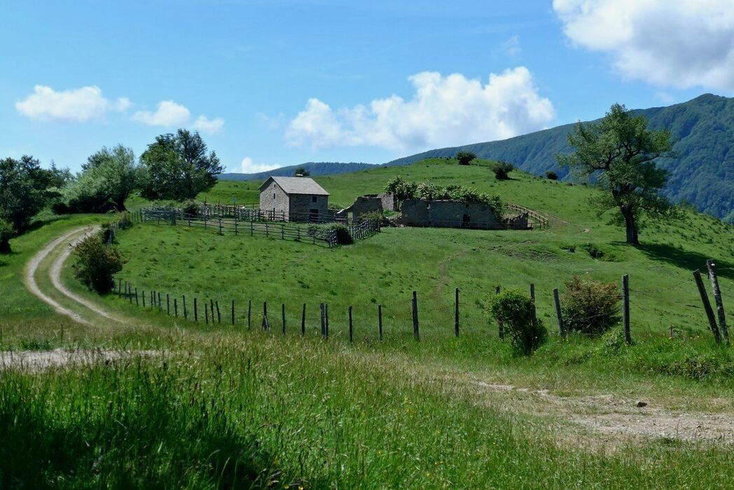 La Diga di Ridracoli: un Trekking nelle Foreste Casentinesi La Diga di Ridracoli: un Trekking nelle Foreste Casentinesi desktop picture
