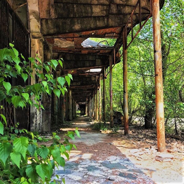 Trekking a Consonno: La "Las Vegas Fantasma della Brianza" Trekking a Consonno: La "Las Vegas Fantasma della Brianza" desktop picture