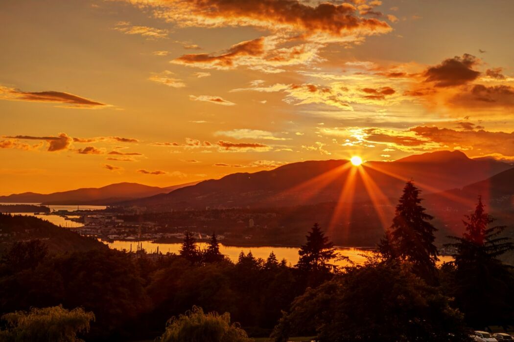 Camminata serale nel Bosco: il Monte Cuneo Camminata serale nel Bosco: il Monte Cuneo desktop picture