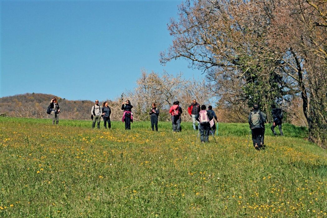 Il Parco del Monte Fuso: un Percorso tra Cervi e Daini Il Parco del Monte Fuso: un Percorso tra Cervi e Daini desktop picture