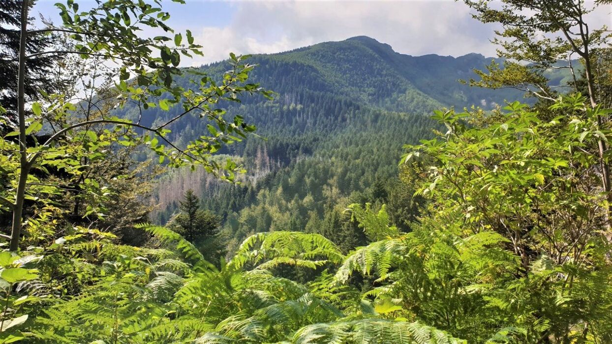 Il Lago Santo Parmense: Trekking in Simbiosi con la Natura Il Lago Santo Parmense: Trekking in Simbiosi con la Natura desktop picture