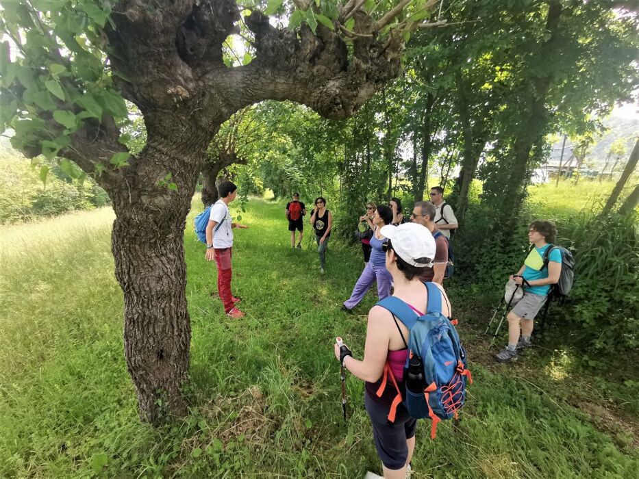 Le Colline di Brogliano: Passeggiata e Aperitivo sul Vulcano Le Colline di Brogliano: Passeggiata e Aperitivo sul Vulcano desktop picture