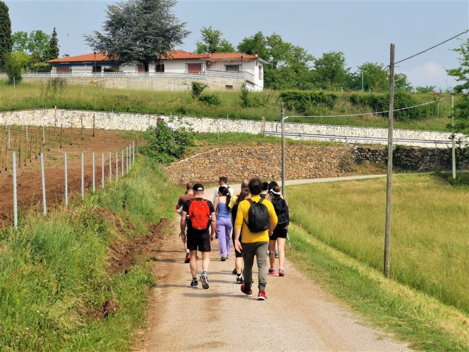 Le Colline di Brogliano: Passeggiata e Aperitivo sul Vulcano Le Colline di Brogliano: Passeggiata e Aperitivo sul Vulcano desktop picture