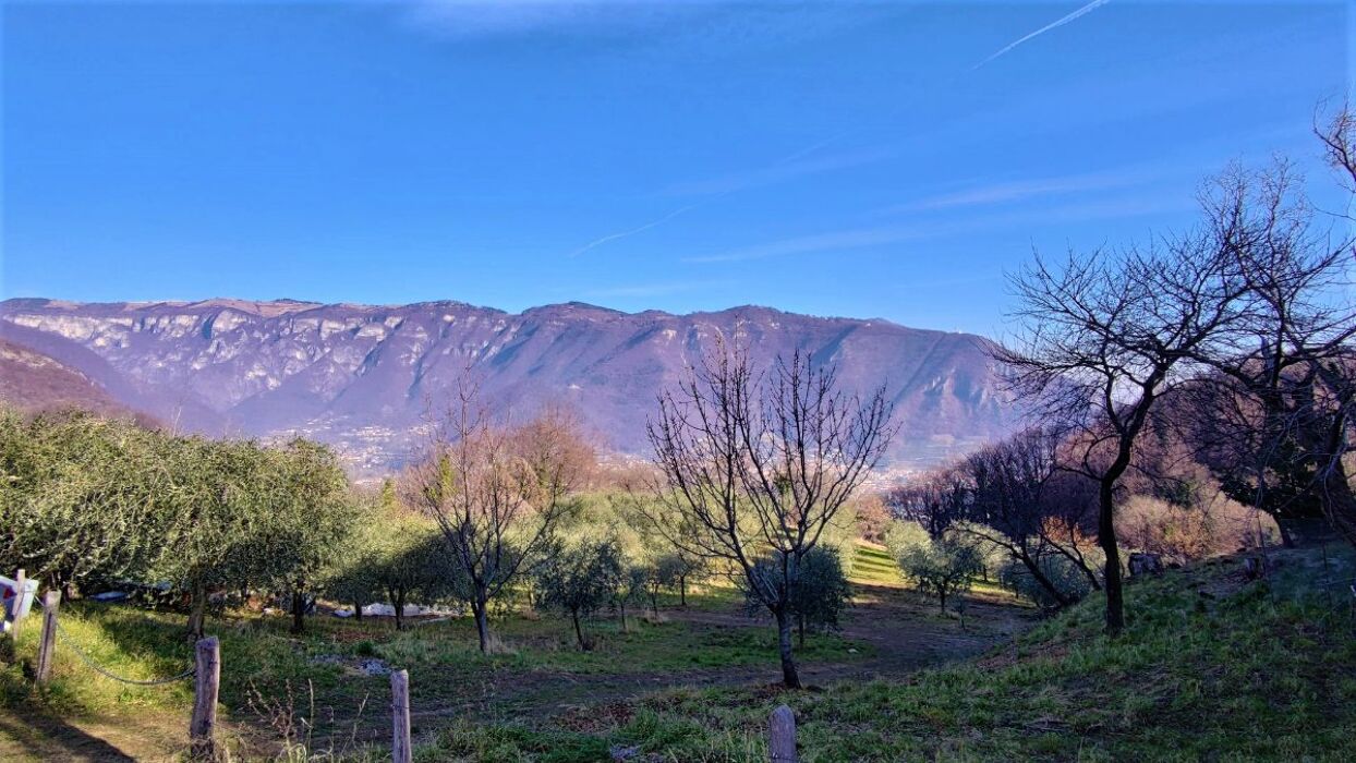 Eremi e vulcani: camminata sulle colline di Bassano Eremi e vulcani: camminata sulle colline di Bassano desktop picture