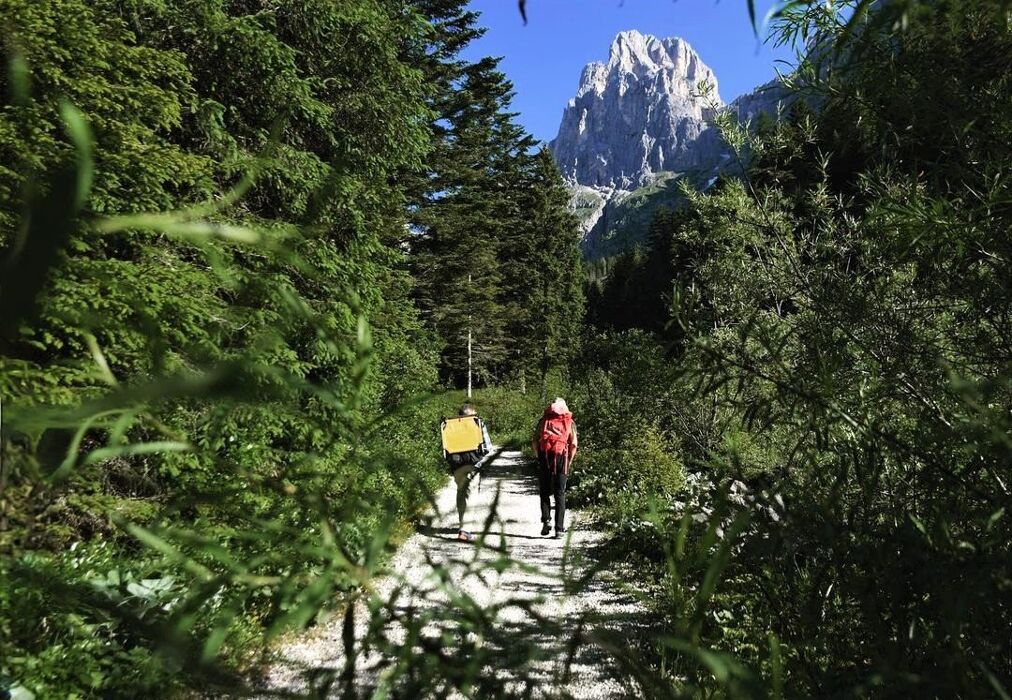 Escursione Panoramica in Val Canali: Tra Boschi e Masi del Primiero Escursione Panoramica in Val Canali: Tra Boschi e Masi del Primiero desktop picture