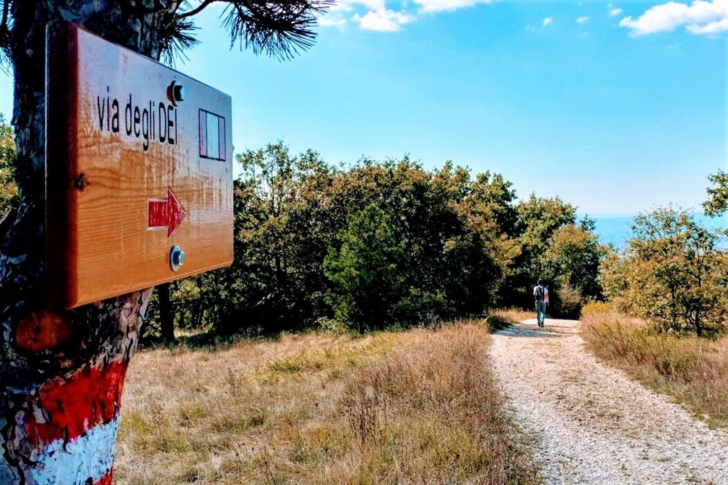 Prepariamoci alla Via degli Dei (online) Prepariamoci alla Via degli Dei (online) desktop picture